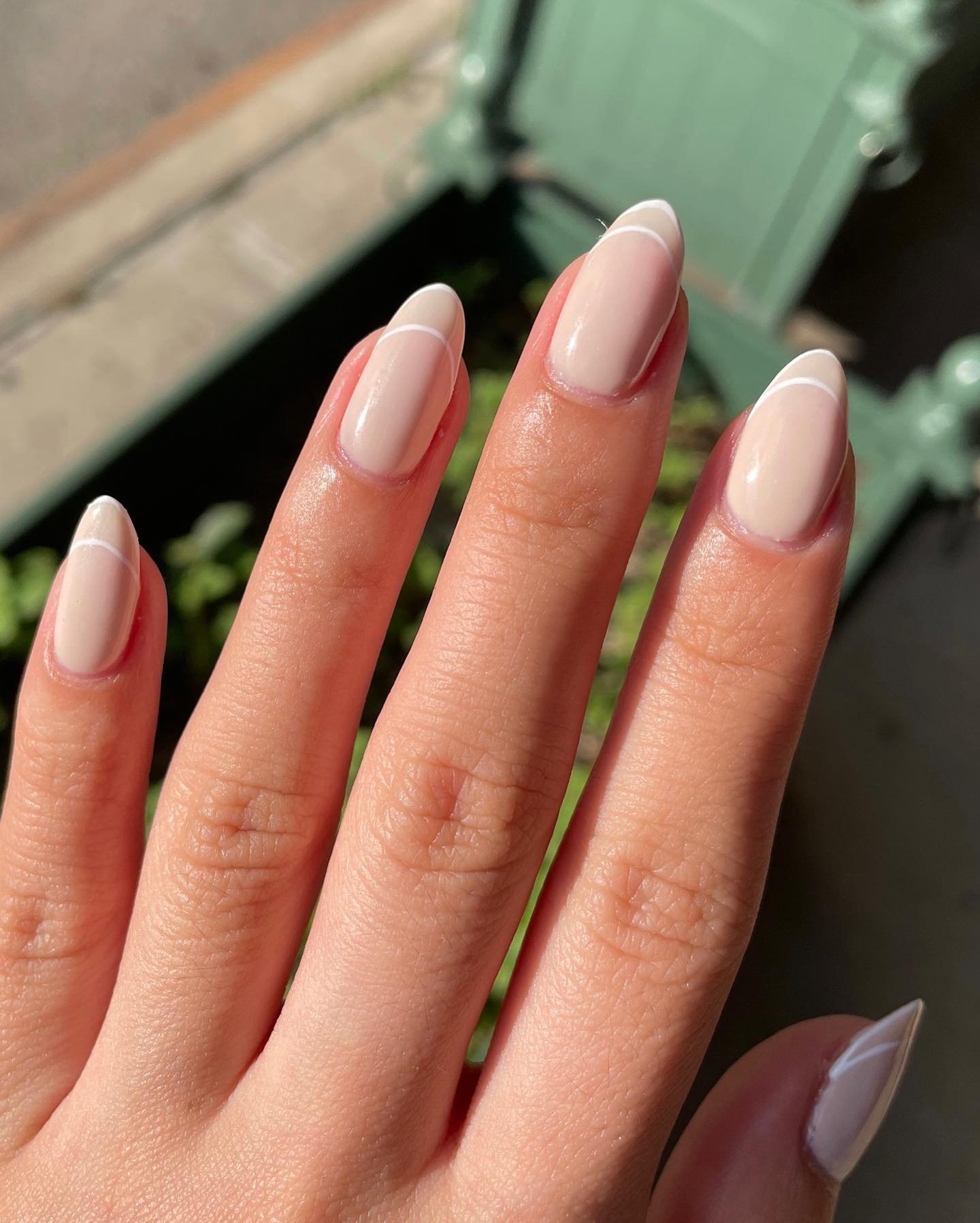 29 - Picture of French Tip Nails